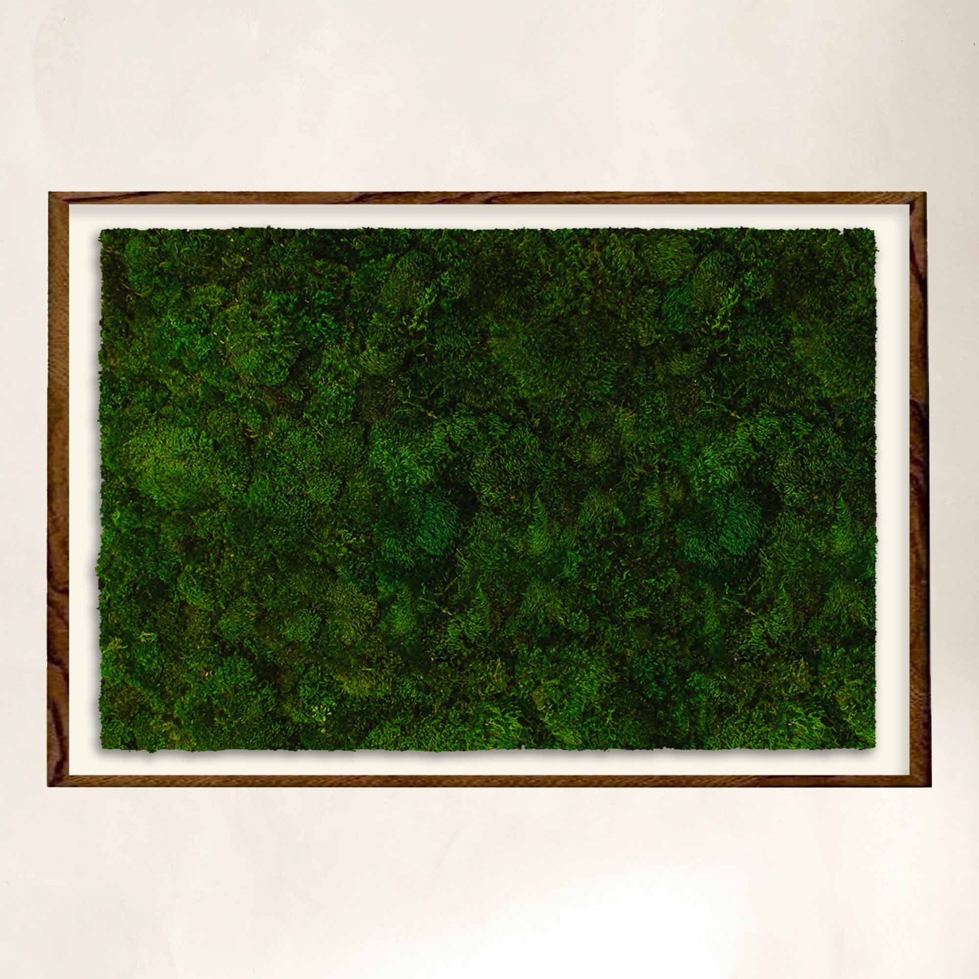 Large 48"x72" rectangular moss wall art with black frame for luxury spaces