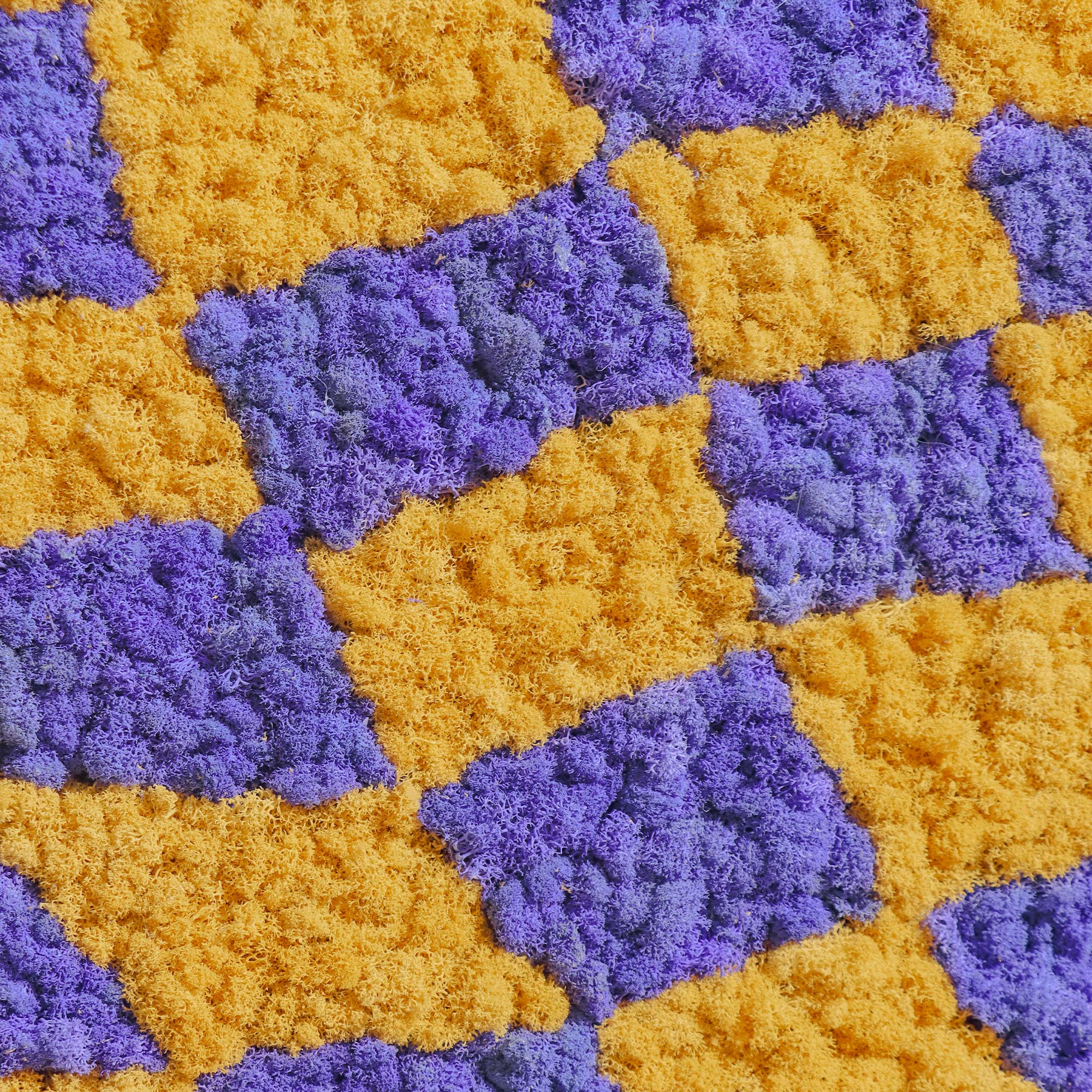 Close-up view of the reindeer moss texture in the Lavender & Yellow Checkerboard Reindeer Moss Art.