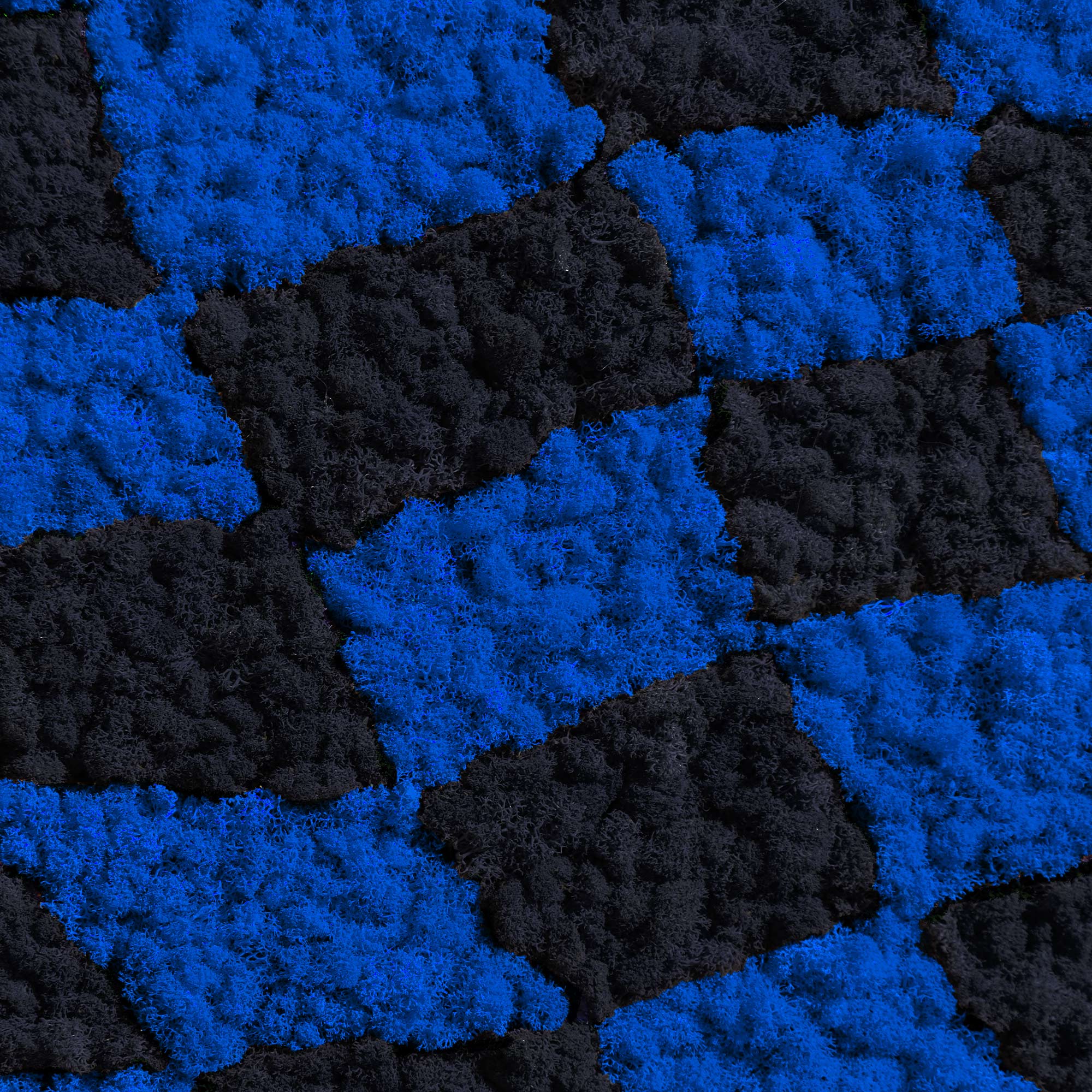 Close-up view of the reindeer moss texture in the Black & Blue Checkerboard Reindeer Moss Art.