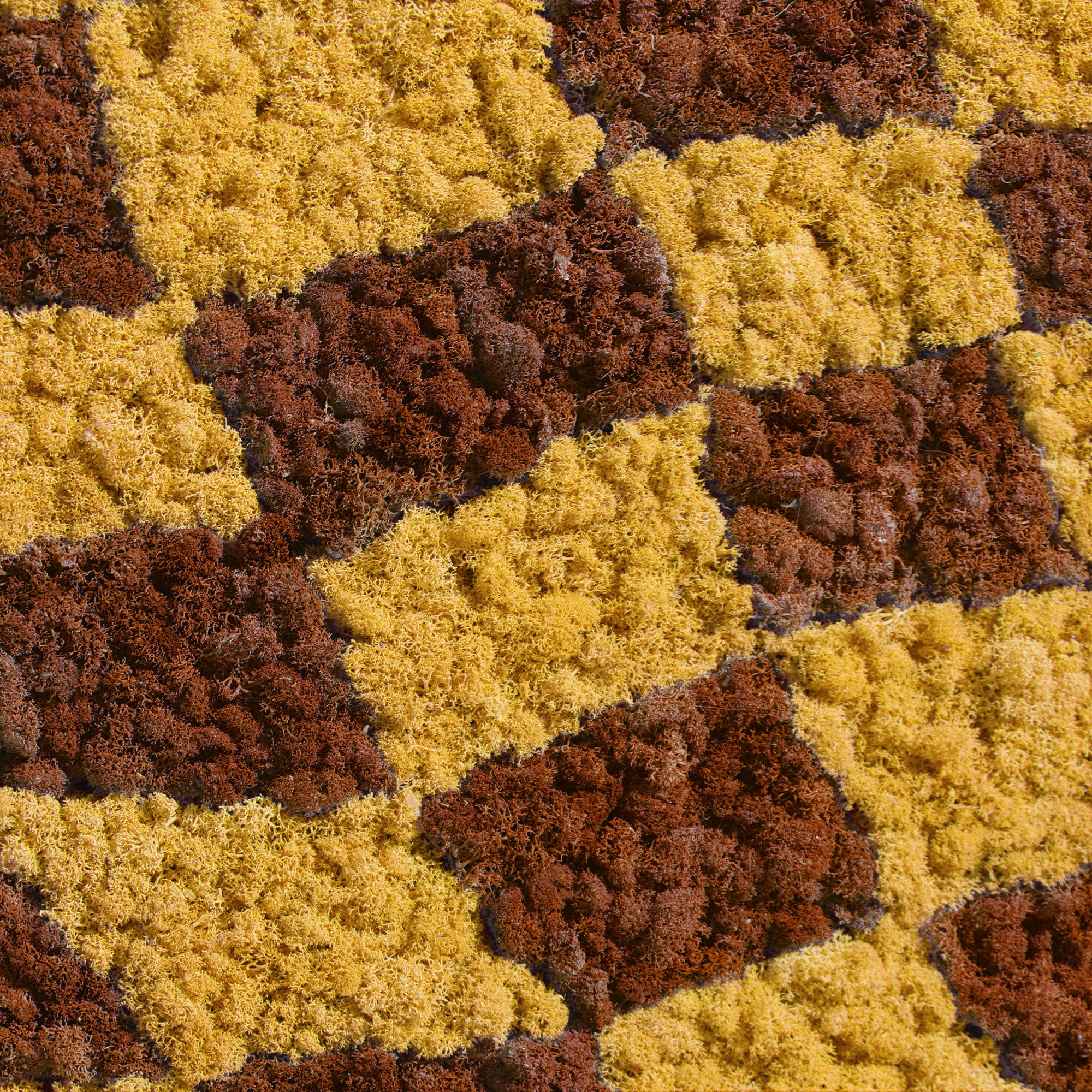 Close-up view of the reindeer moss texture in the Coffee & Yellow Checkerboard Reindeer Moss Art.