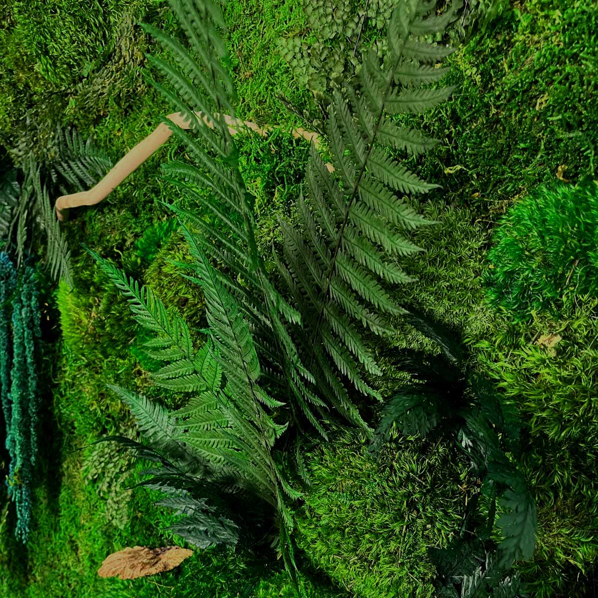 Close-up of preserved mosses, ferns, and mushrooms in wall art