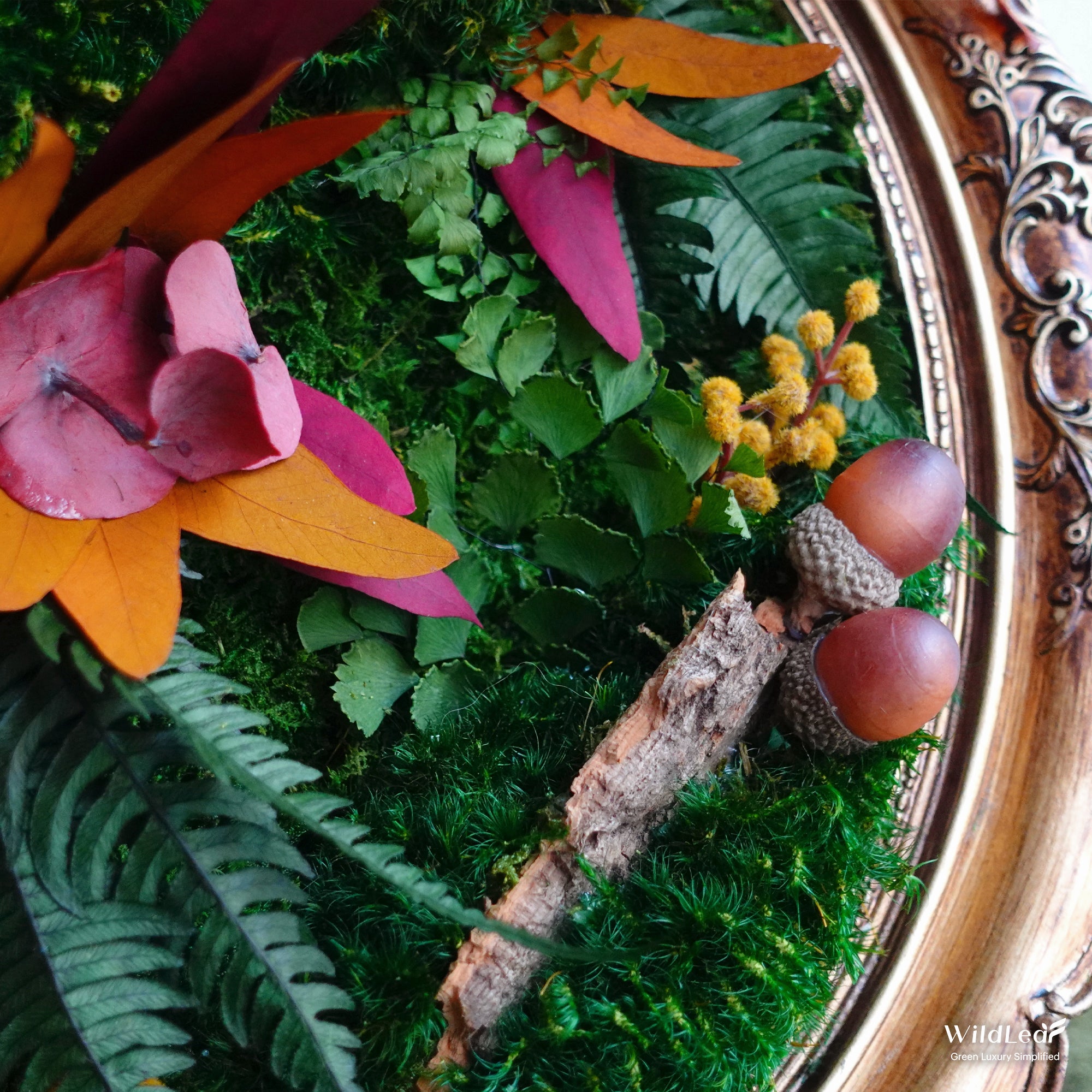 Detail of preserved fern leaves, autumn foliage, and bark in oval Framed Autumn Moss Wall Art, highlighting natural textures.