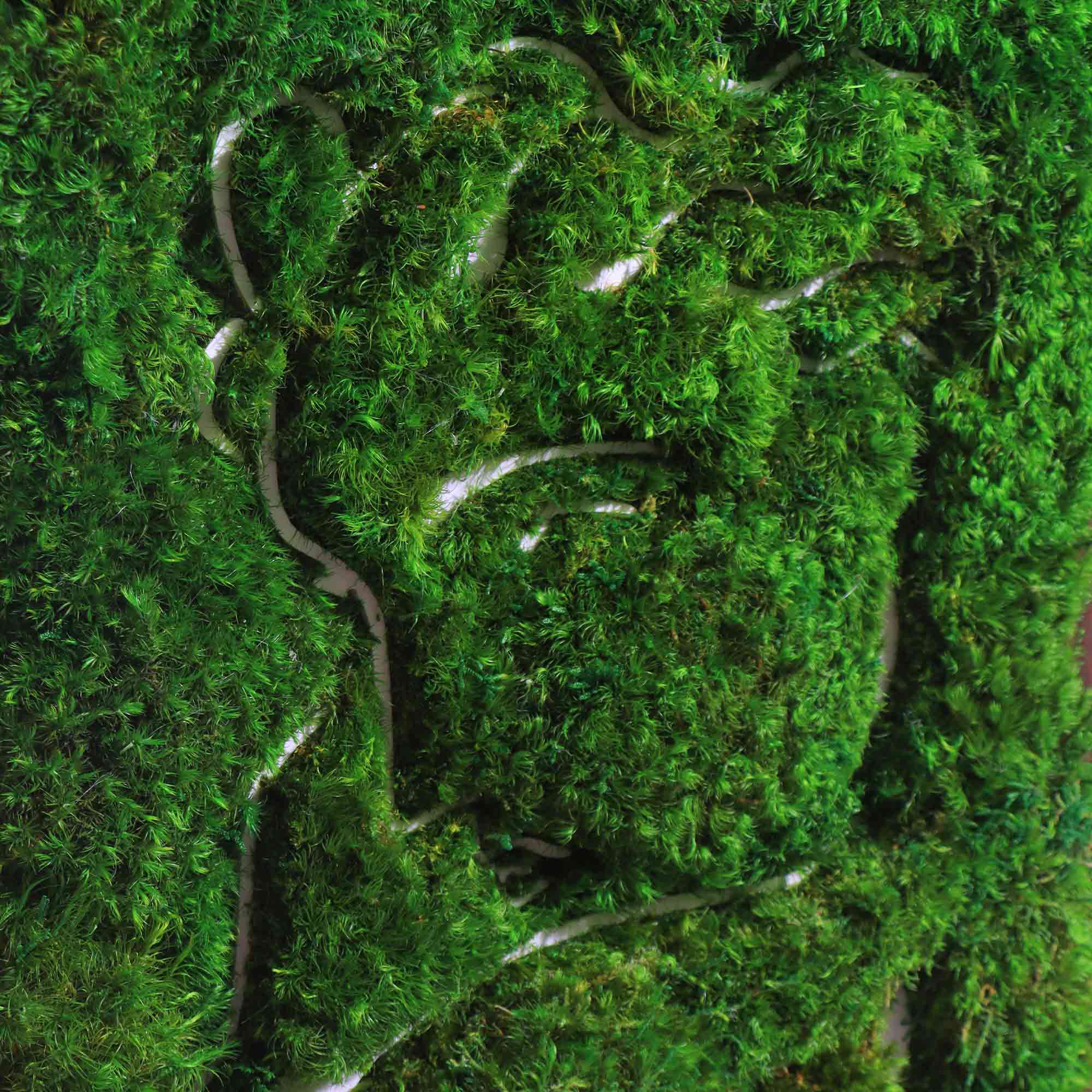 Close-up of engraved elegant female pattern and lush mood moss