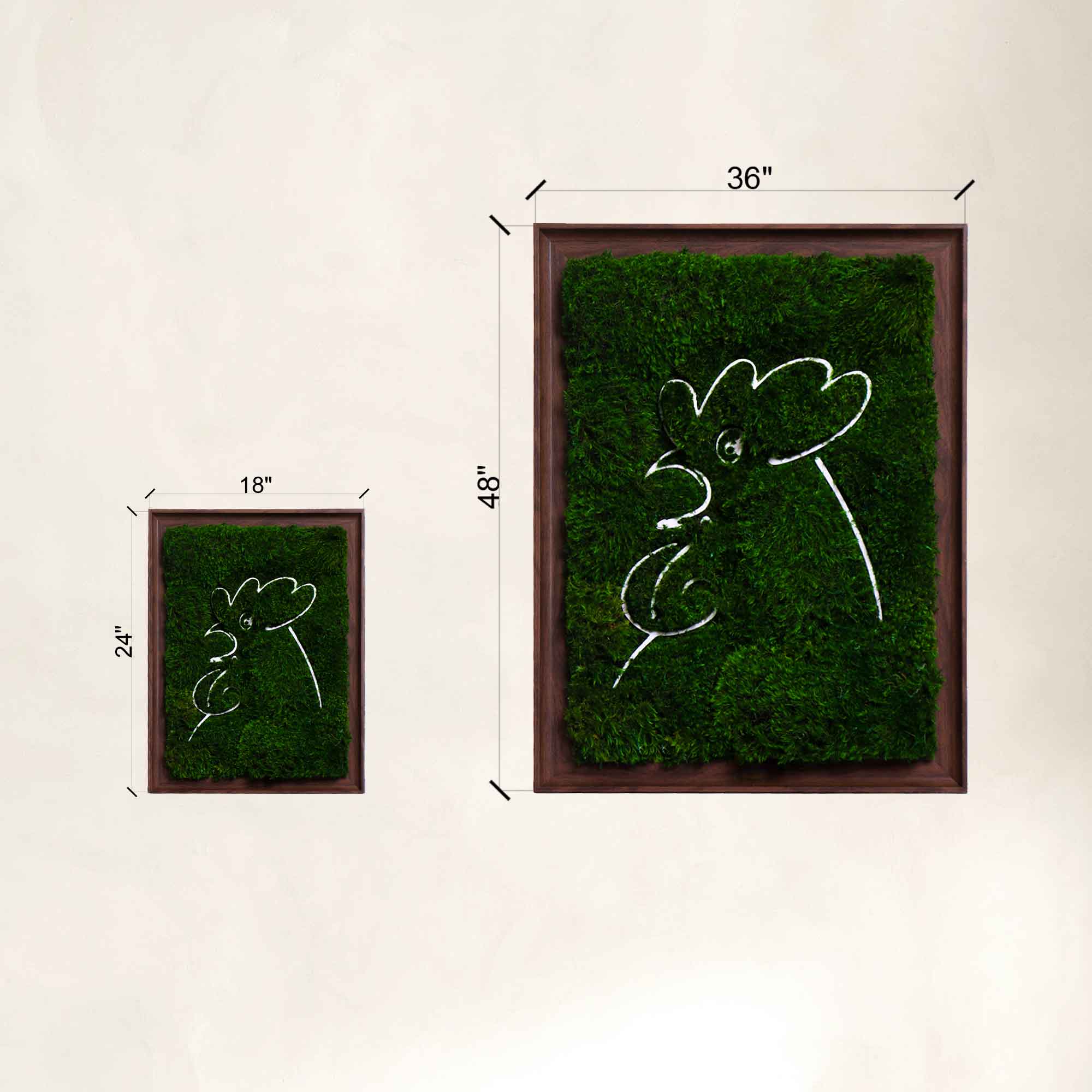 size comparation of the engraved rooster pattern and lush mood moss
