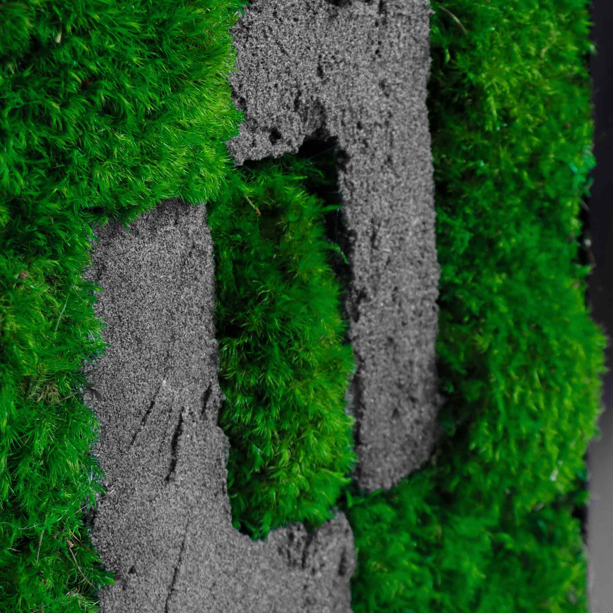 Close-up of irregular rectangular stone texture against lush moss