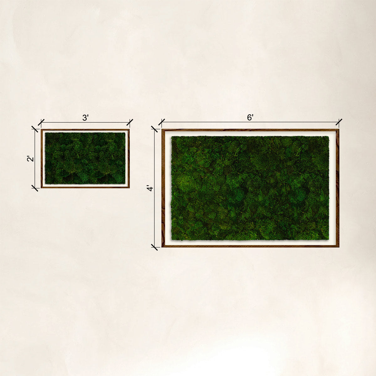 Profile of two rectangular wabi-sabi moss installations showing size difference