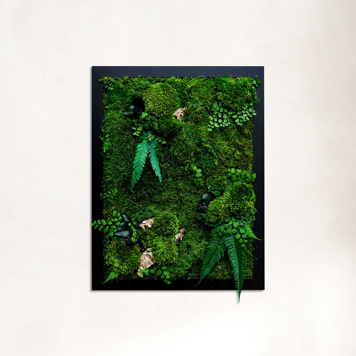 Rectangular framed forest moss wall art with bark, ivy fruit and different ferns