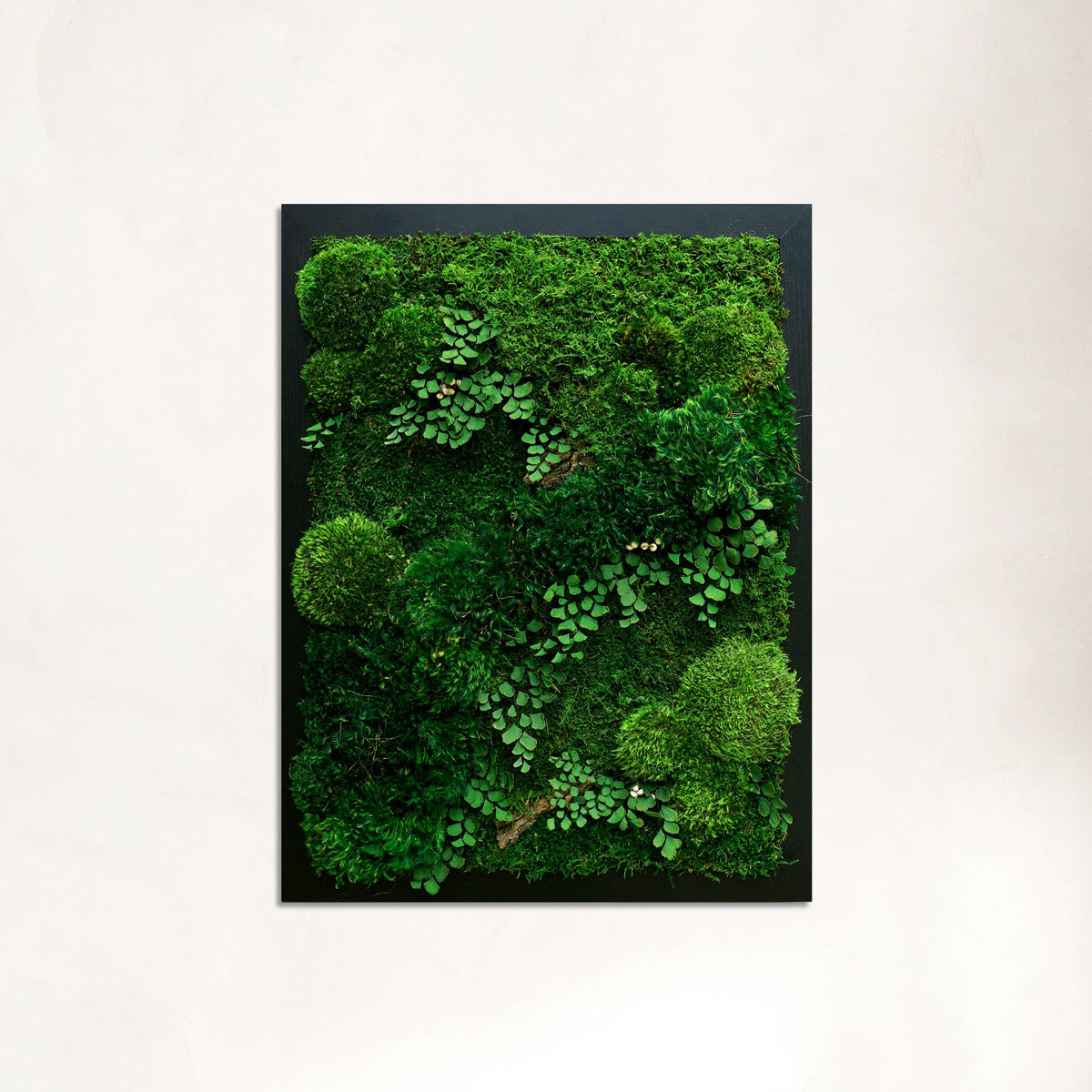 Rectangular framed forest moss wall art with bark, white fruit and fern leaves