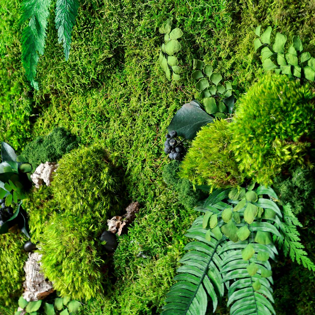 Details of preserved mosses and ferns in forest-inspired wall art