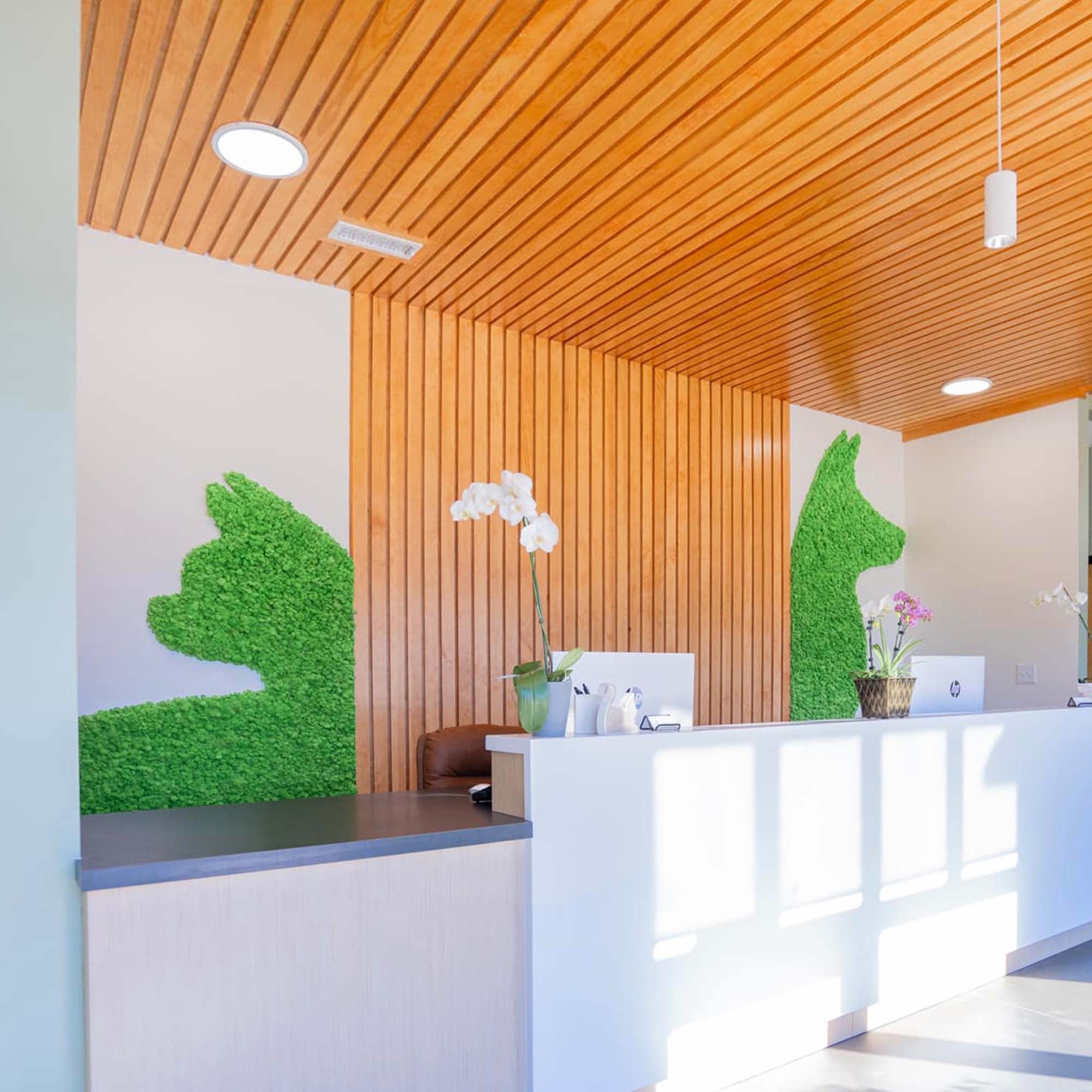 reindeer moss tile cut to shapes of cat and dog for an animal hospital reception area