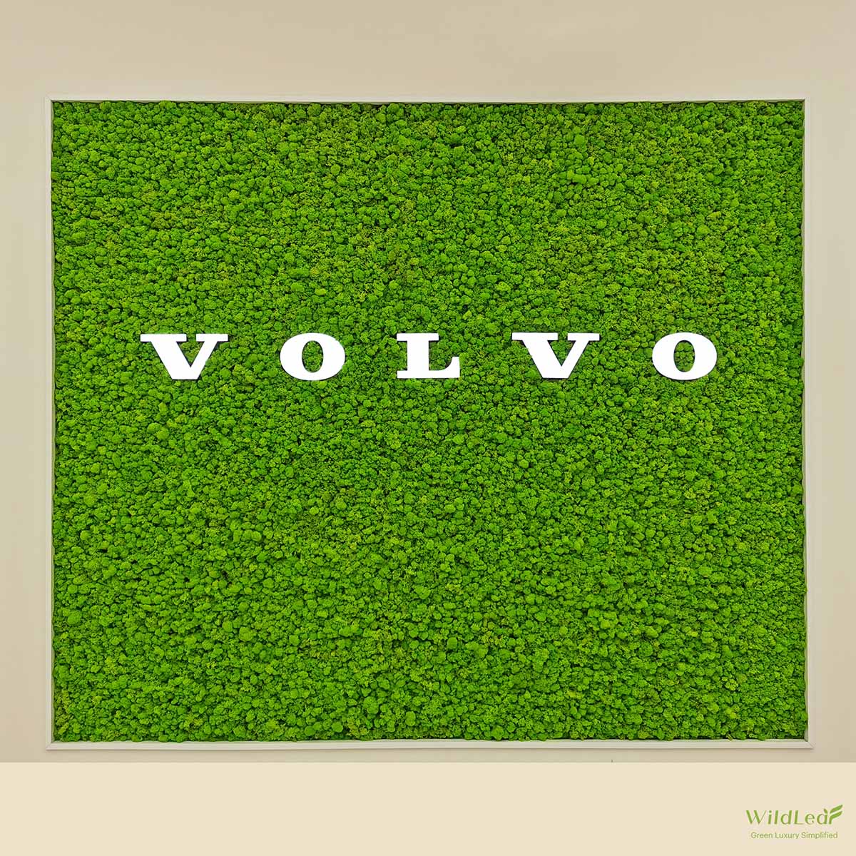 vibrant reindeer moss logo wall for volvo