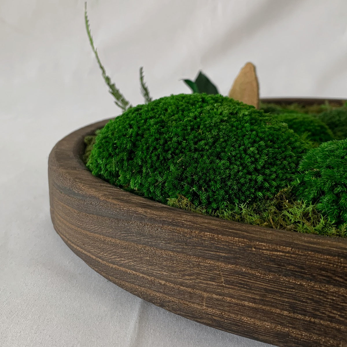 Close-up of dark walnut wood grain detail and preserved moss texture in round wooden moss bowl