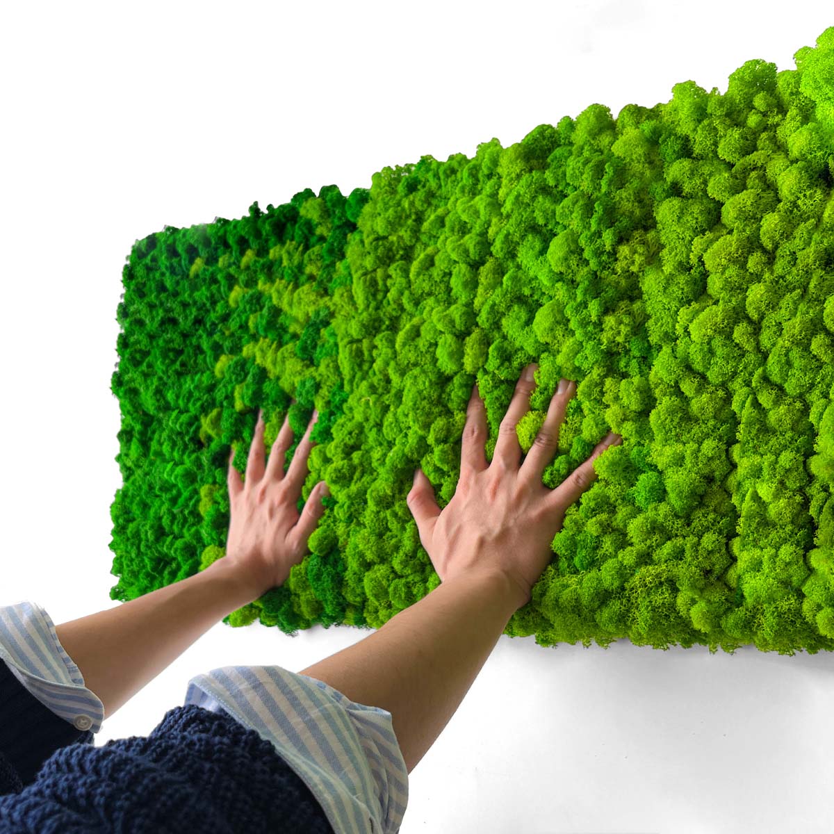 soft and spongy reindeer moss tile