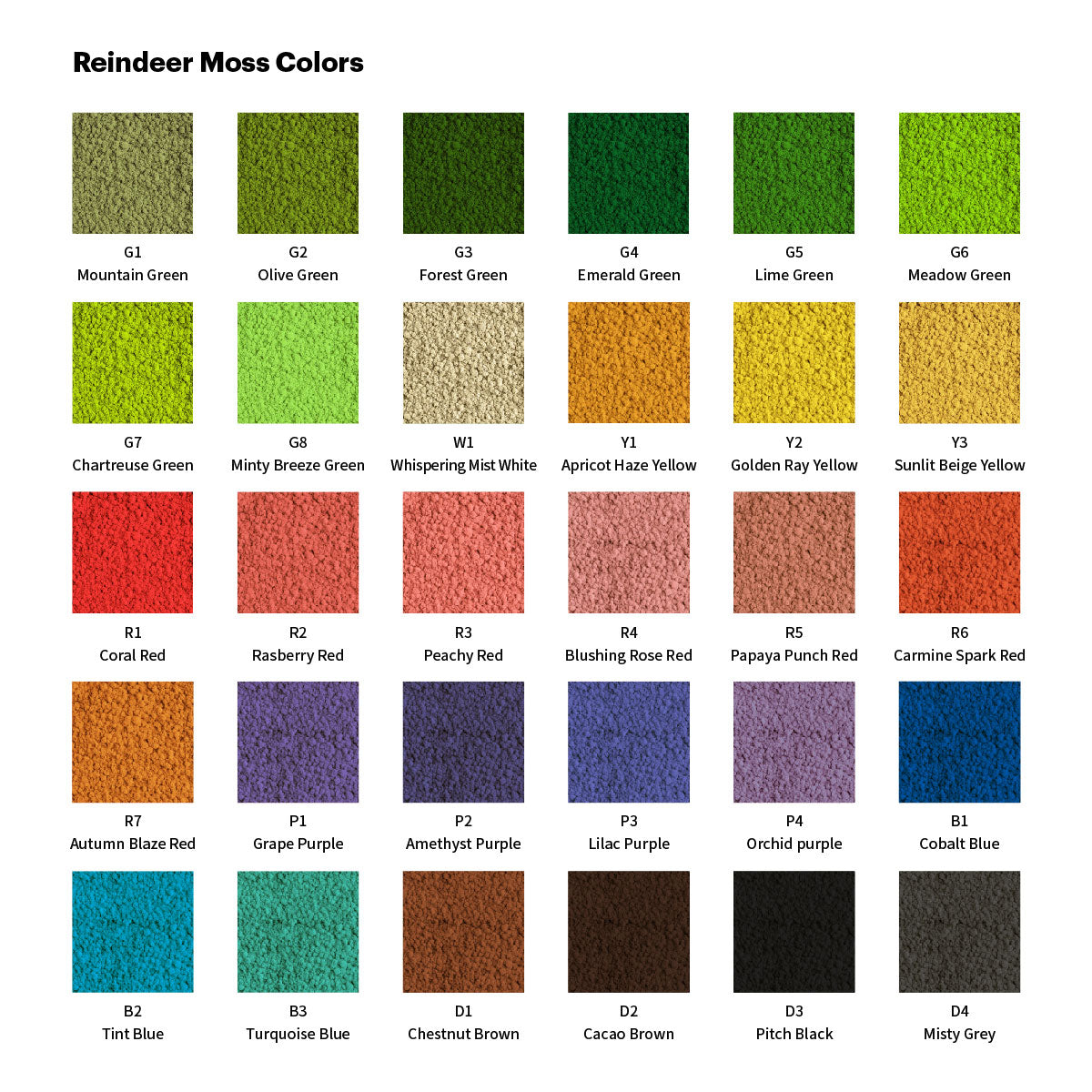 Reindeer moss color chart showing 30 preserved moss color options from Mountain Green G1 to Misty Grey D4 for moss wall design