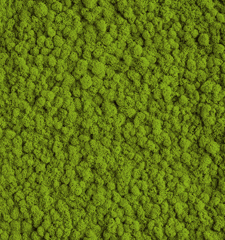 Olive Green Reindeer Moss Color Sample