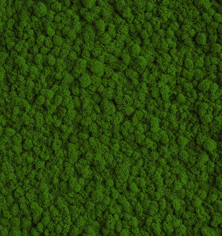 Forest Green Reindeer Moss Color Sample