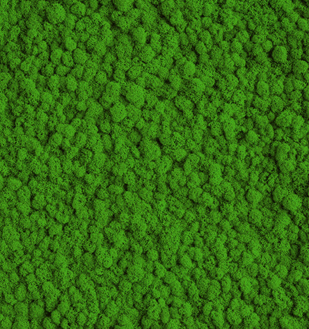 Lime Green Reindeer Moss Color Sample