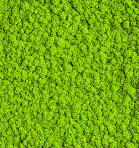 Meadow Green Reindeer Moss Color Sample