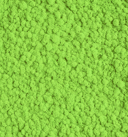 Breeze Green Reindeer Moss Color Sample