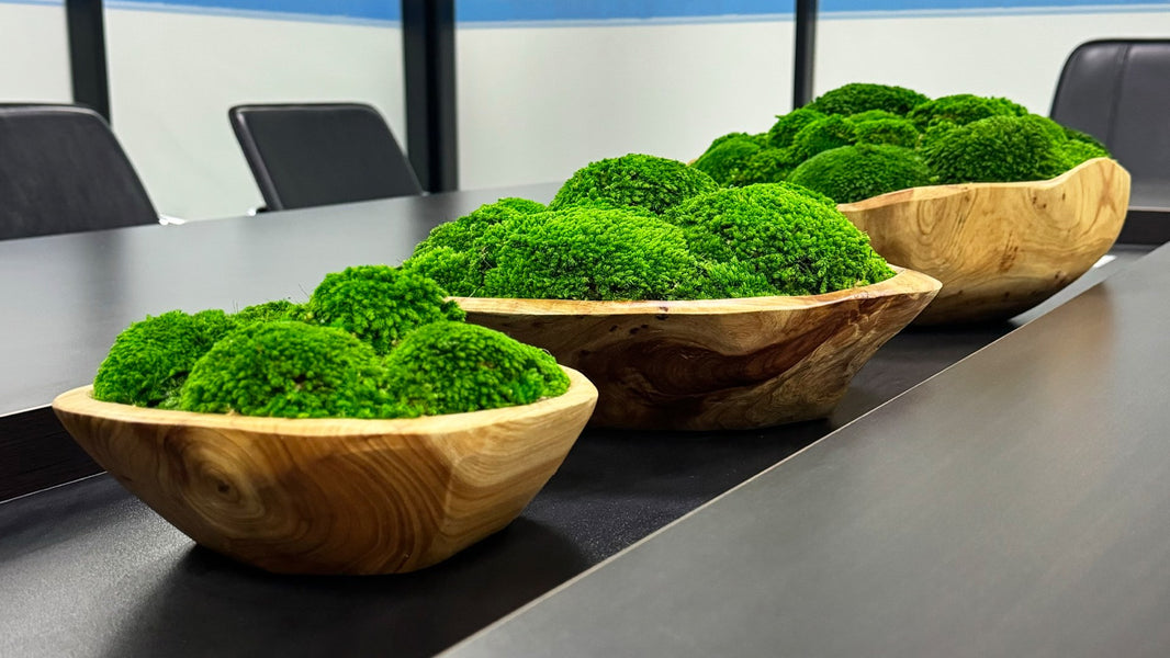 The Art of Styling with Preserved Moss Bowls: A Complete Guide