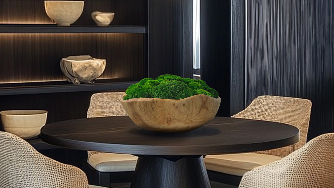Natural wood bowl with vibrant green bun moss, displayed on dark dining table with woven chairs and modern shelving