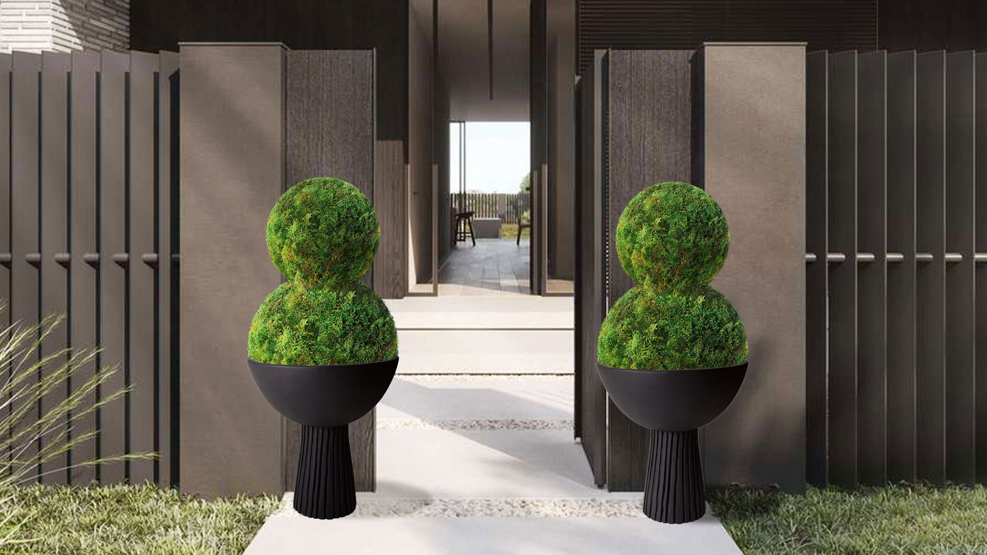 Set of two large moss topiary standing by the entrance of a modern house