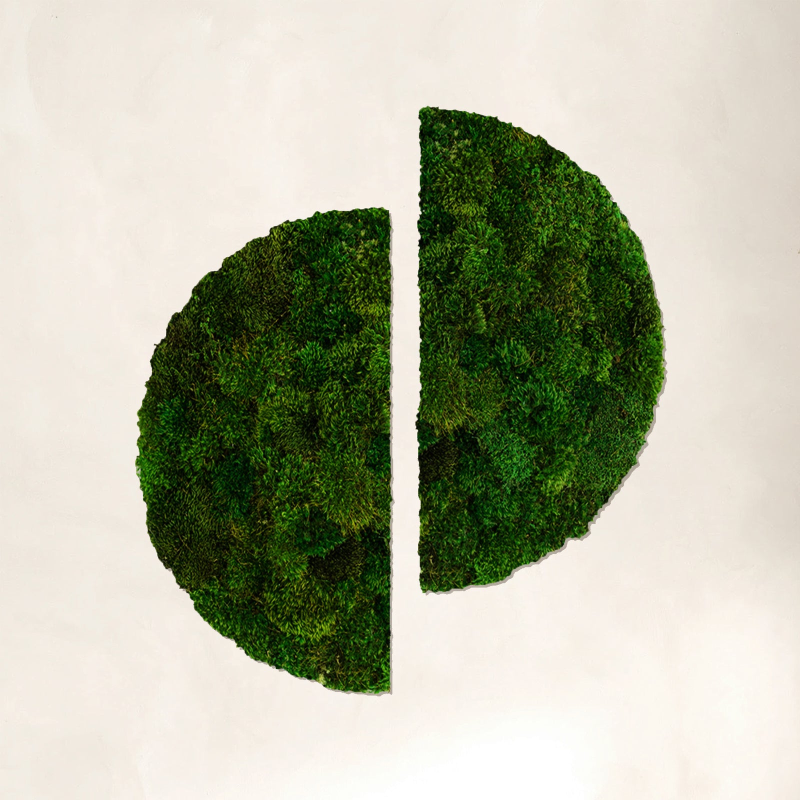 Semicircles Wabi-sabi Moss Wall Art - Moss Art | Wildleaf