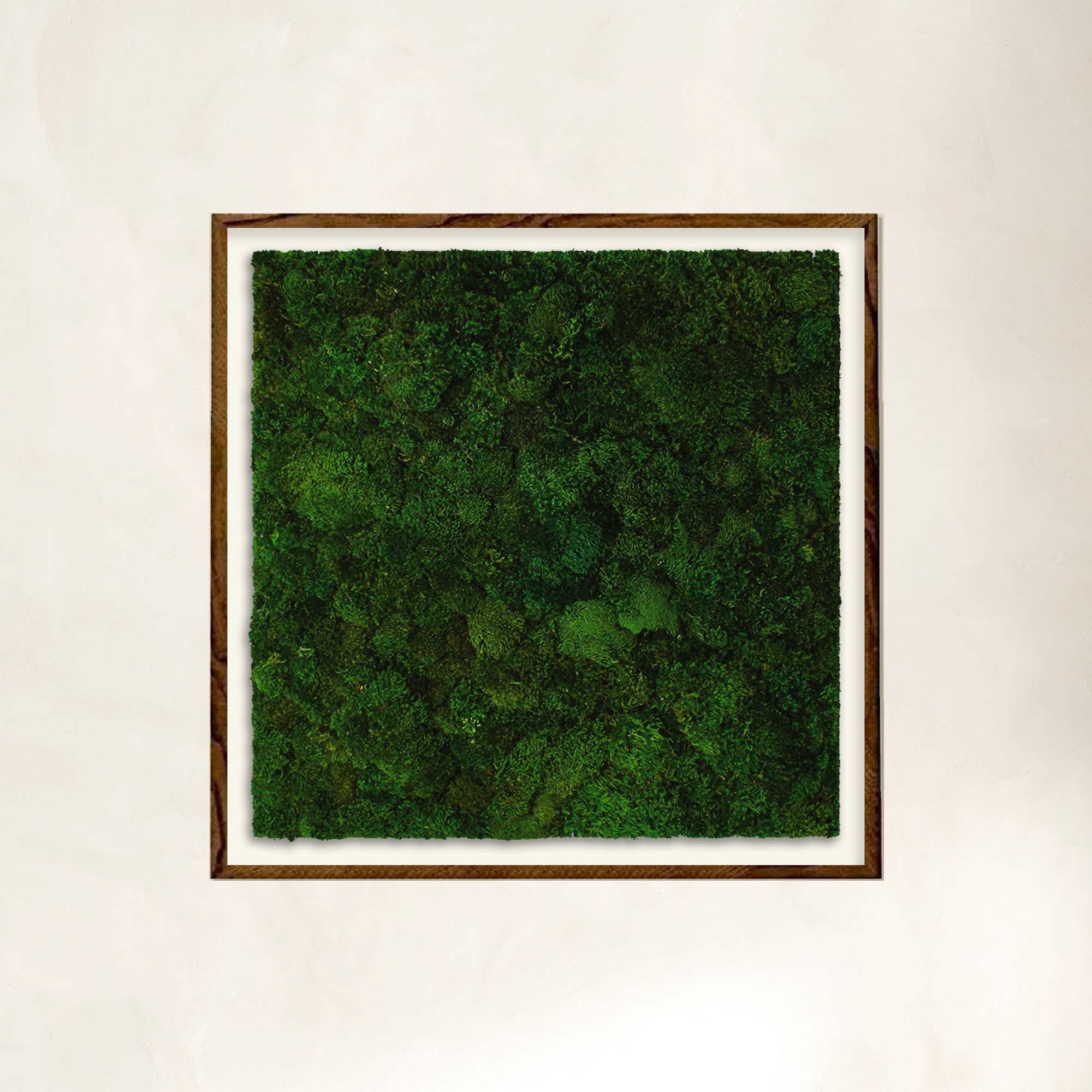 Square moss wall art with dark walnut frame for spacious interiors