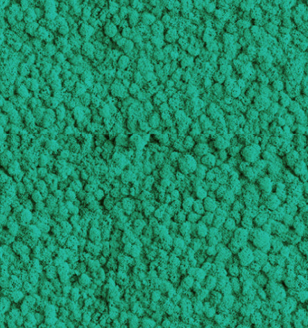 Turquoise Blue  Reindeer Moss Color Sample