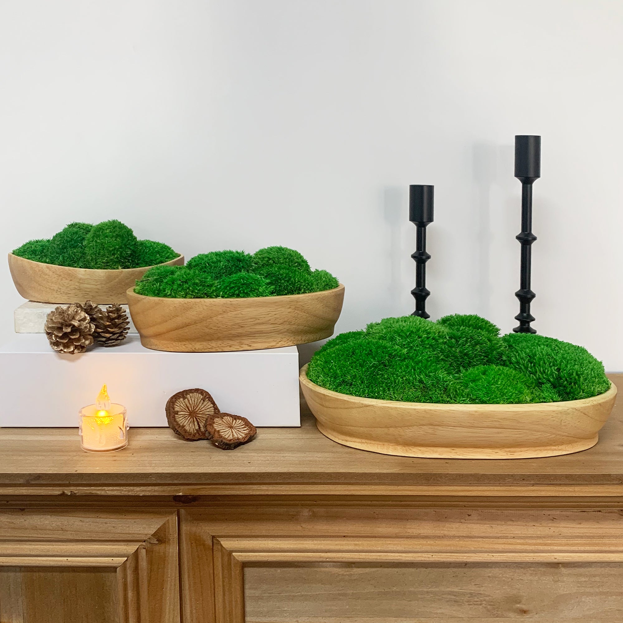 Three Boat Shape Wood Moss Bowls with preserved bun moss bowls for modern home fireplace.