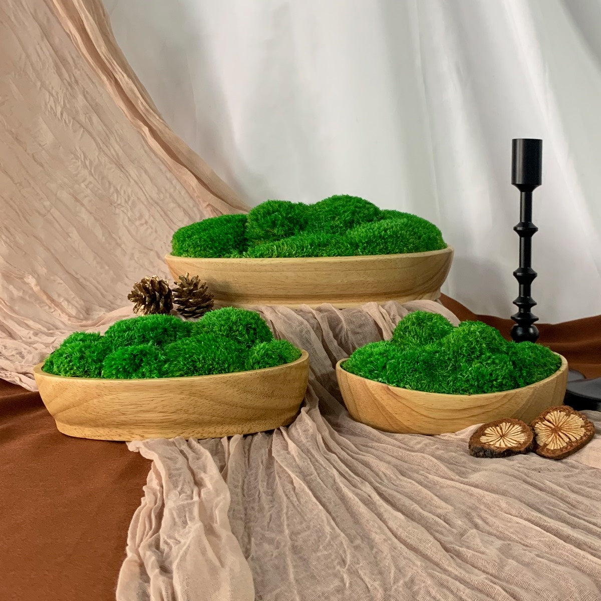 Boat Shape Moss Bowls on draped fabric, paired with pine cones for a natural touch and a black candle holder for modern elegance.