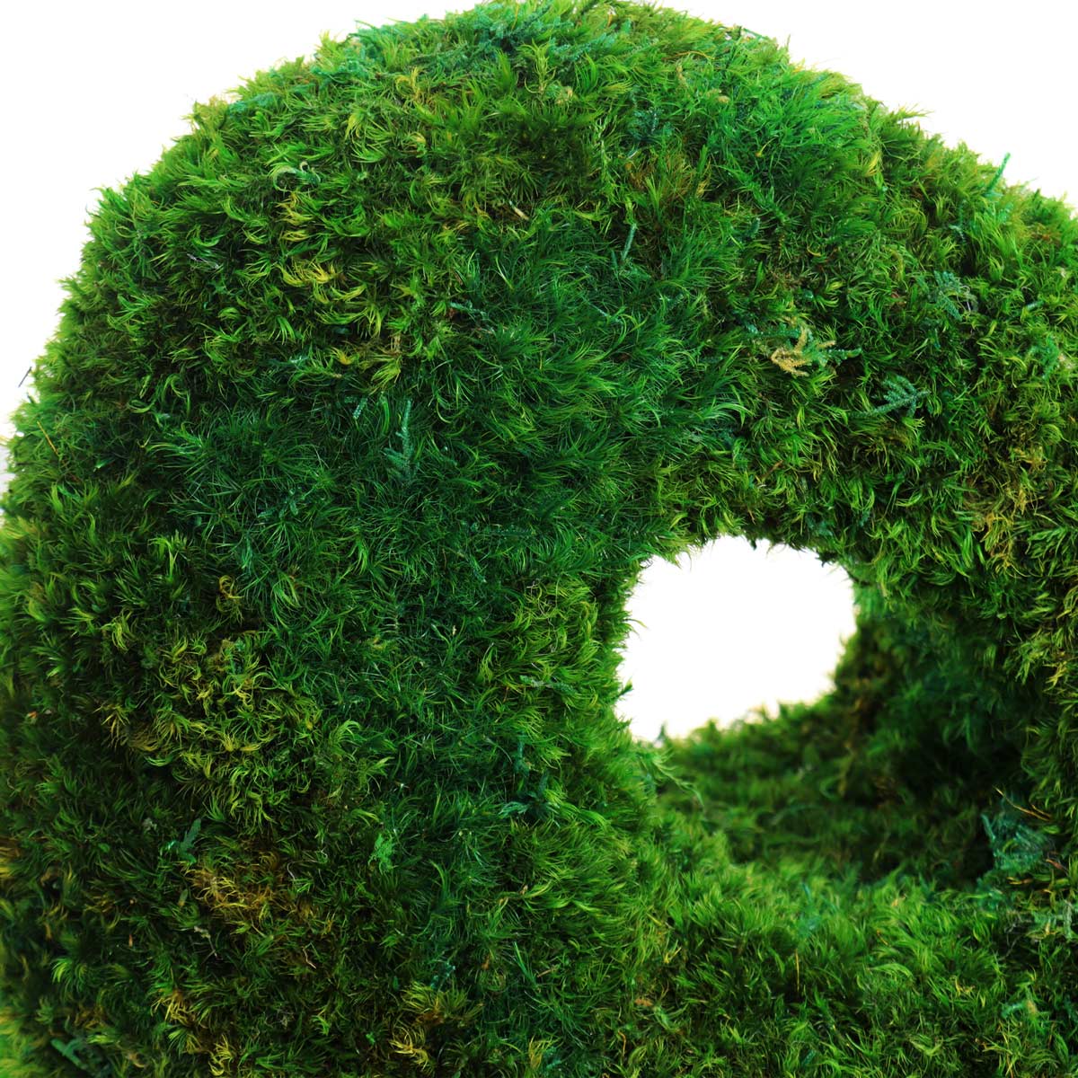 Close-up of lush preserved mood moss on cave-like structures