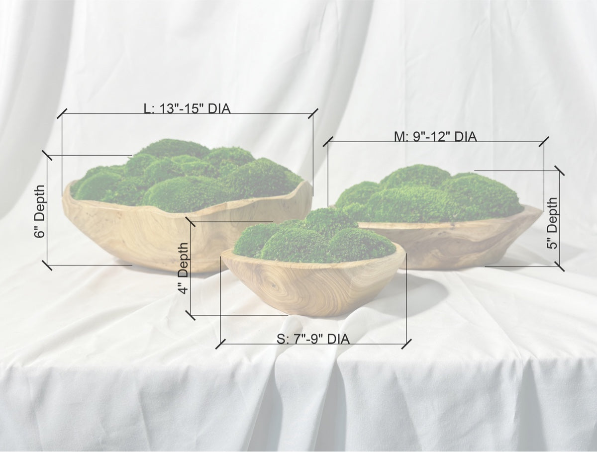 Comparison of three live edge moss bowls with dimensions, highlighting size differences and offering a visual selection guide.