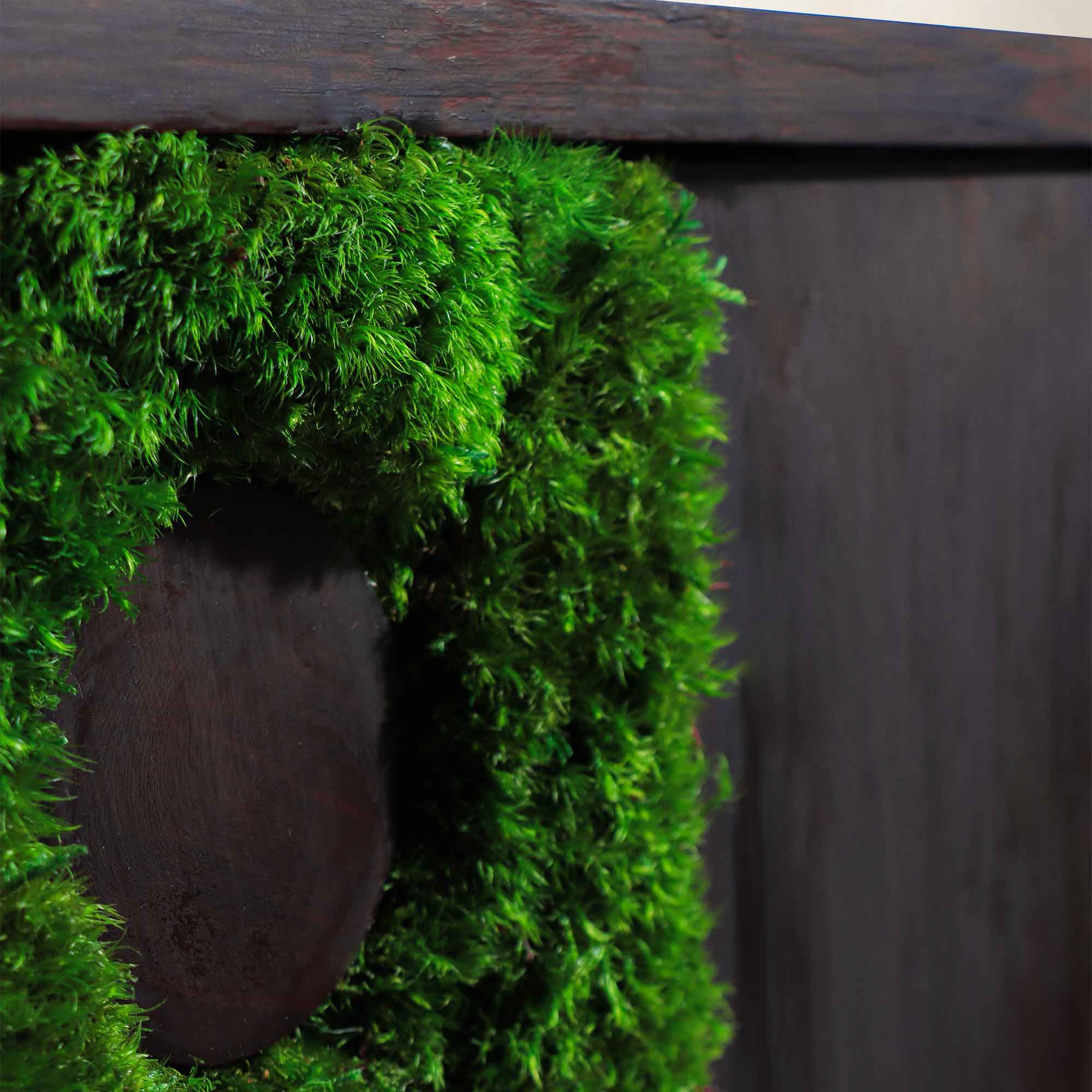 Close-up of dark walnut geometric shapes against preserved mood moss