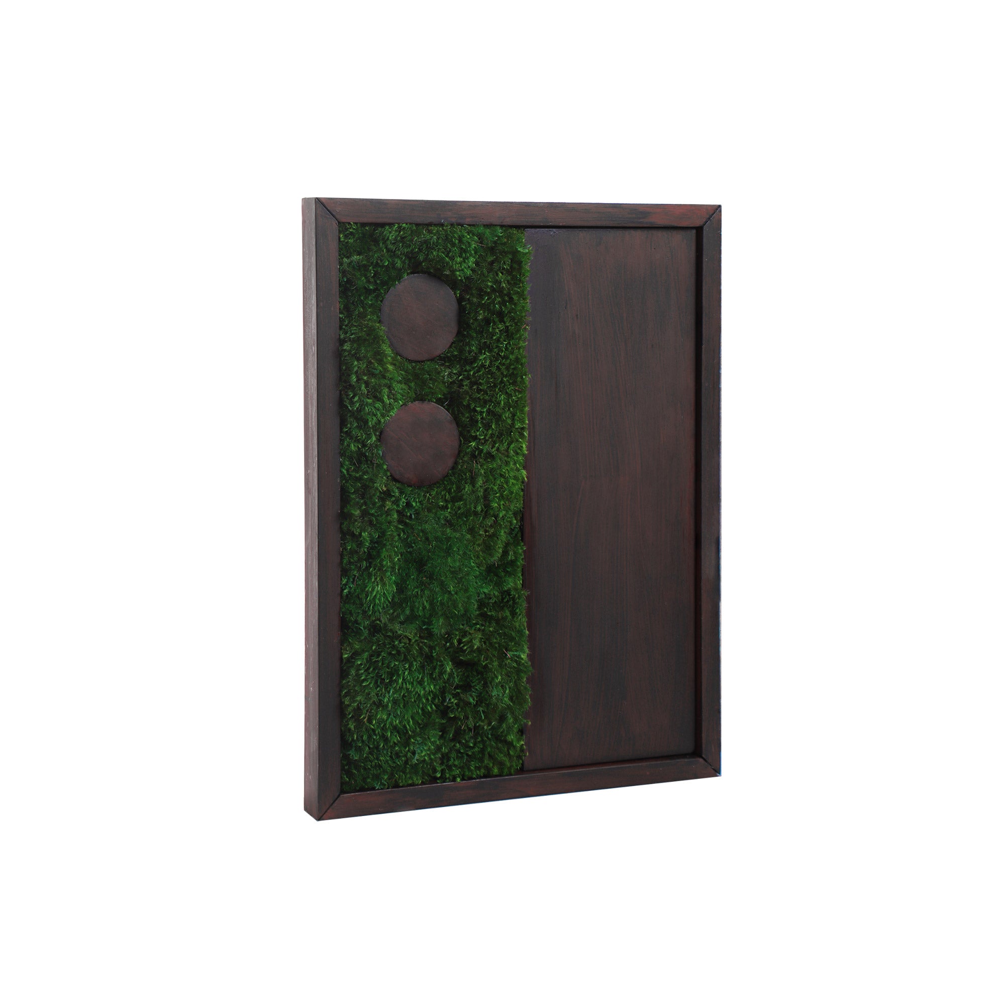 Side profile of Geometrical Moss Art showing frame depth and moss texture