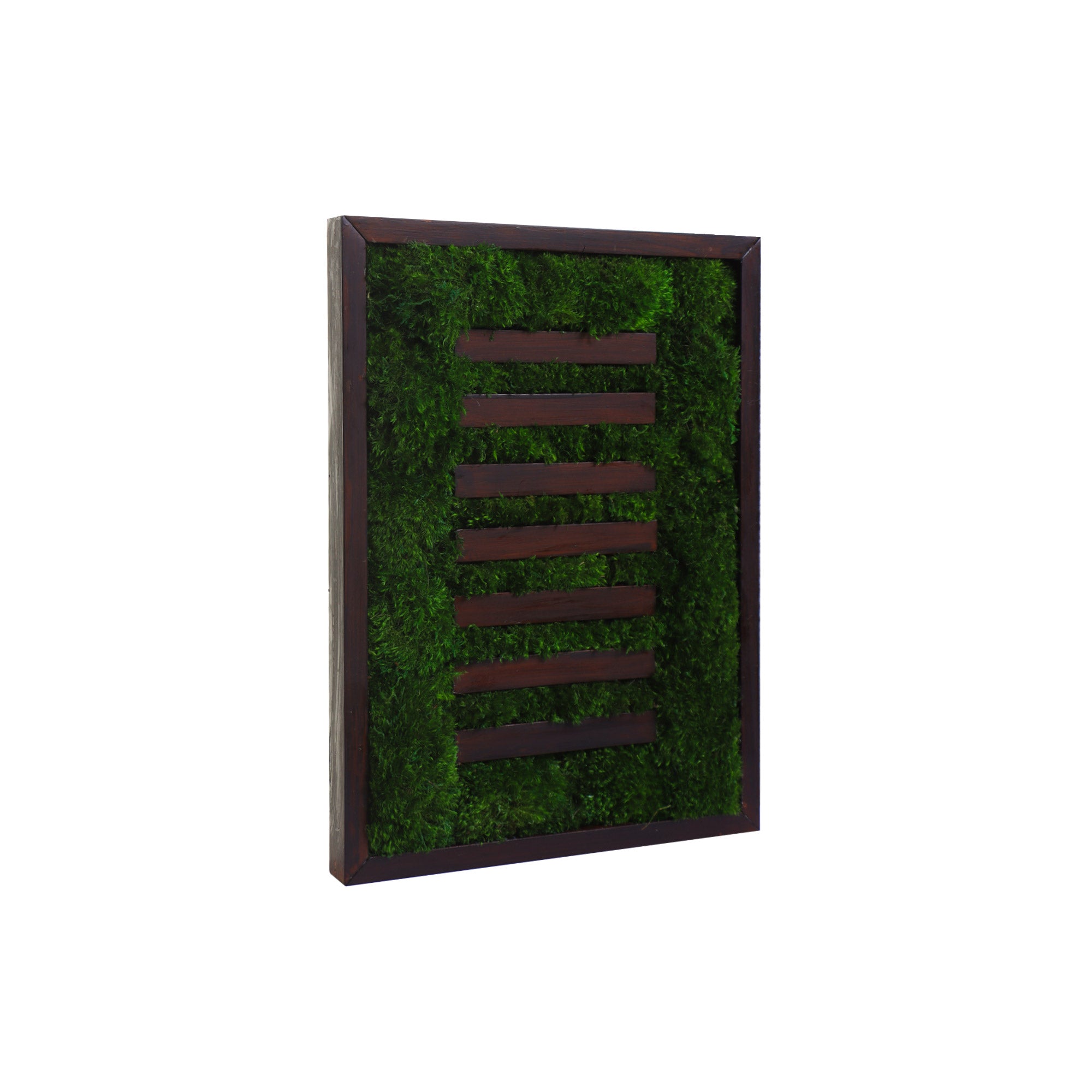 Side view of Wabi-sabi Moss Art showing frame depth and wood strips