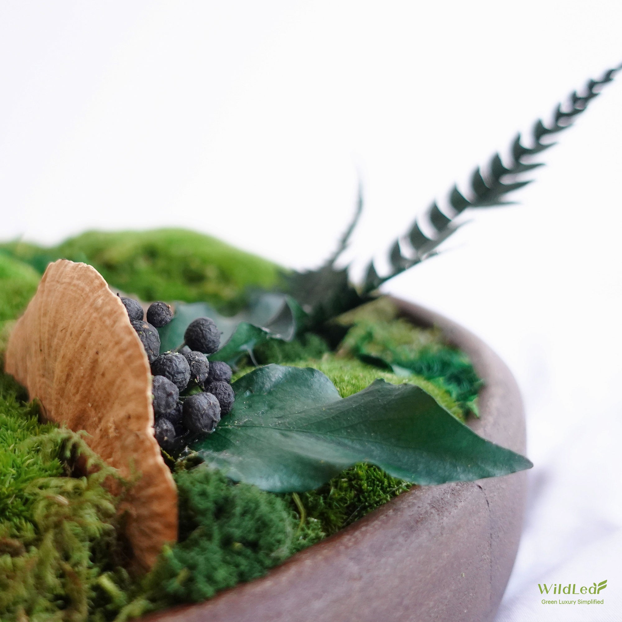 Detail of preserved fern, mushrooms, and dark walnut wood bowl in Round Centerpiece with Moss, ideal for table decor.