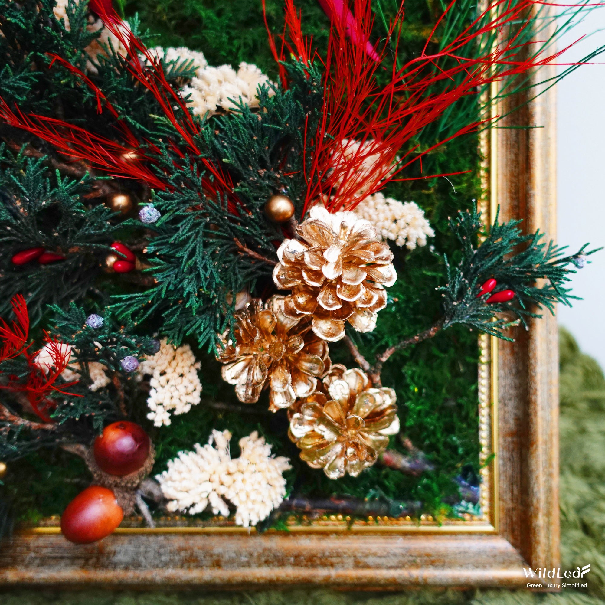 Detail of Antique Gold Framed Christmas Moss Wall Art, showing preserved cypress leaves, gold pinecones, and festive greenery.
