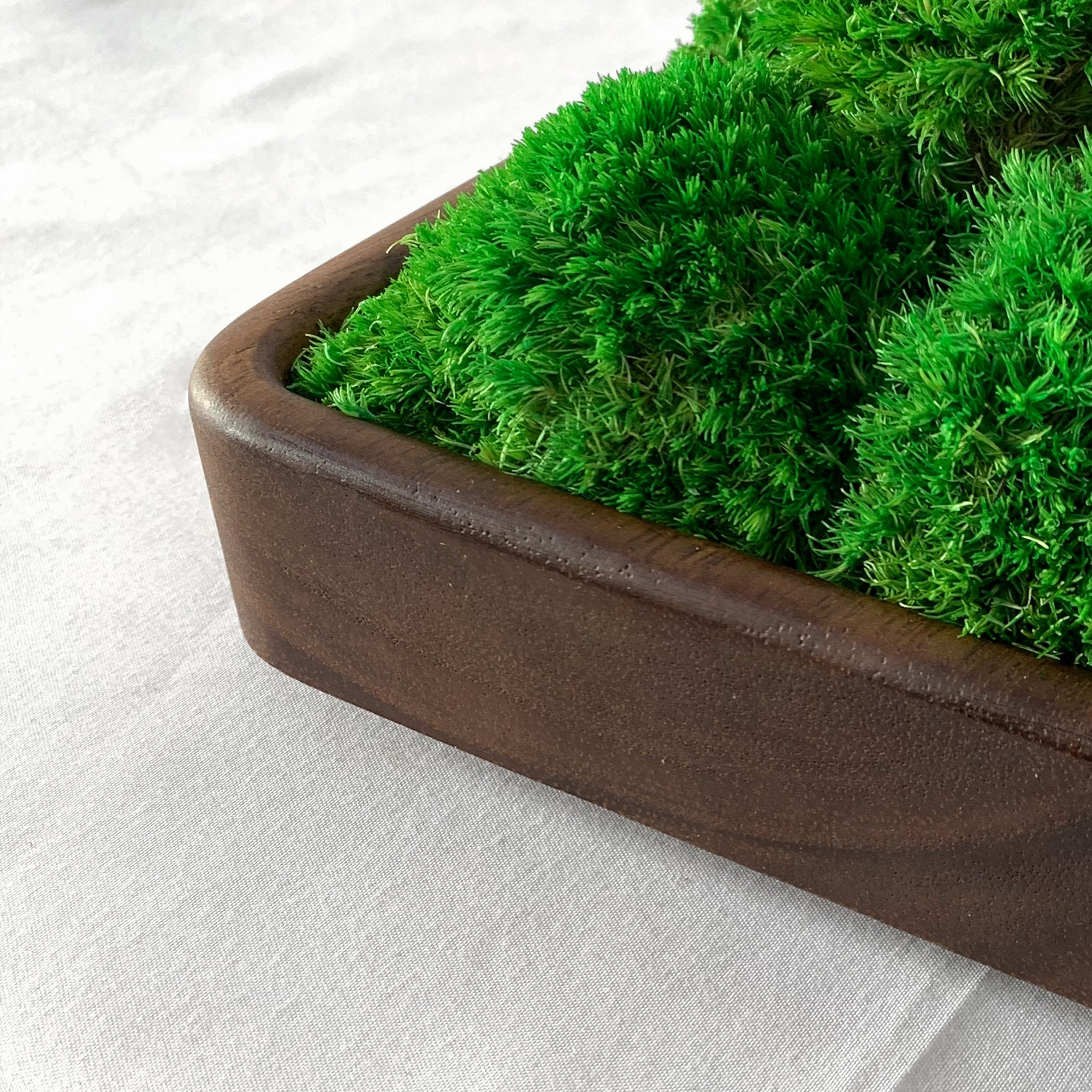 Detail of dark walnut grain in square shaped moss bowl.