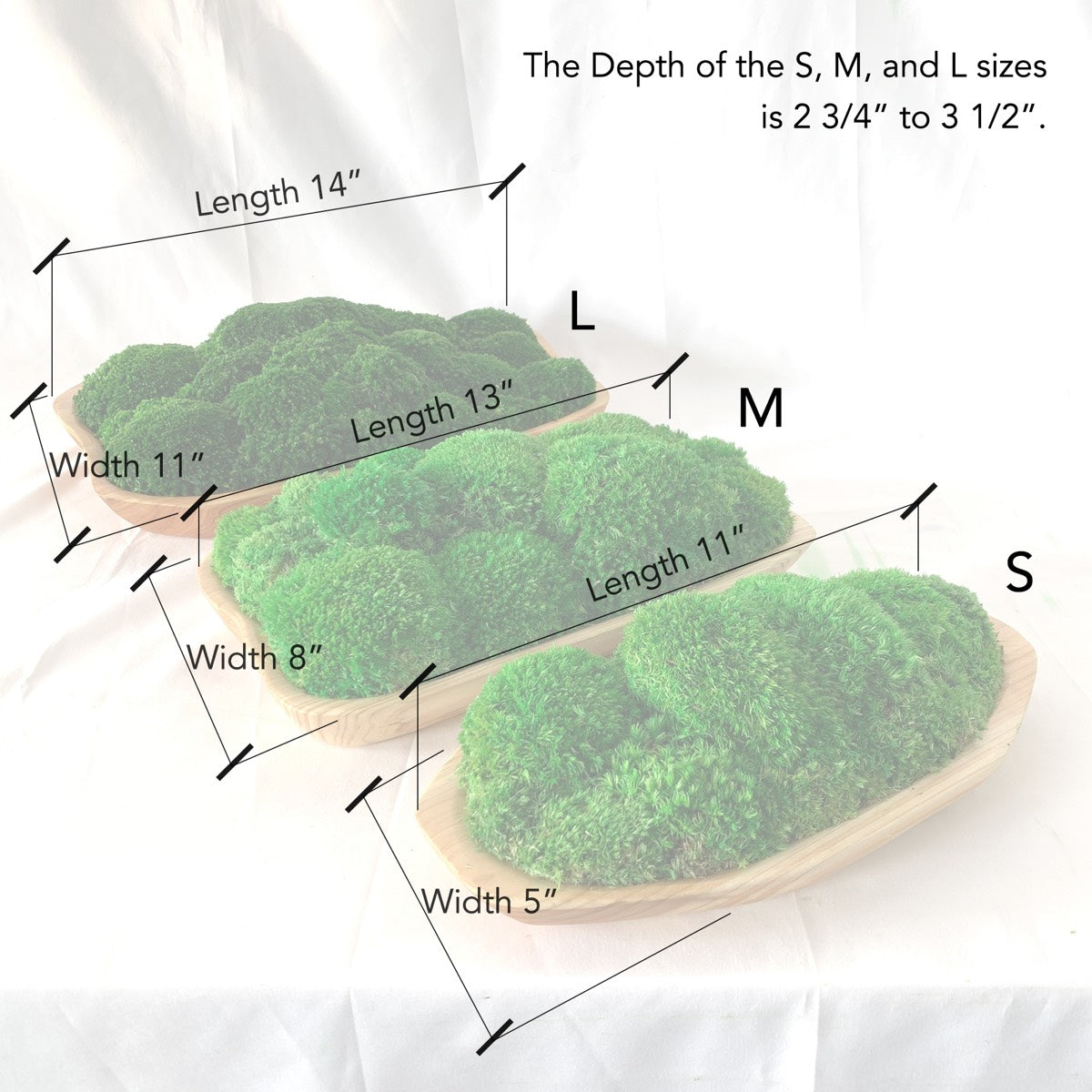 Dimensional annotations for Live Edge Natural Wooden Moss Bowls in small, medium, and large sizes, illustrating the varying lengths, widths, and depths of each uniquely crafted piece, showcased against a light, draped backdrop