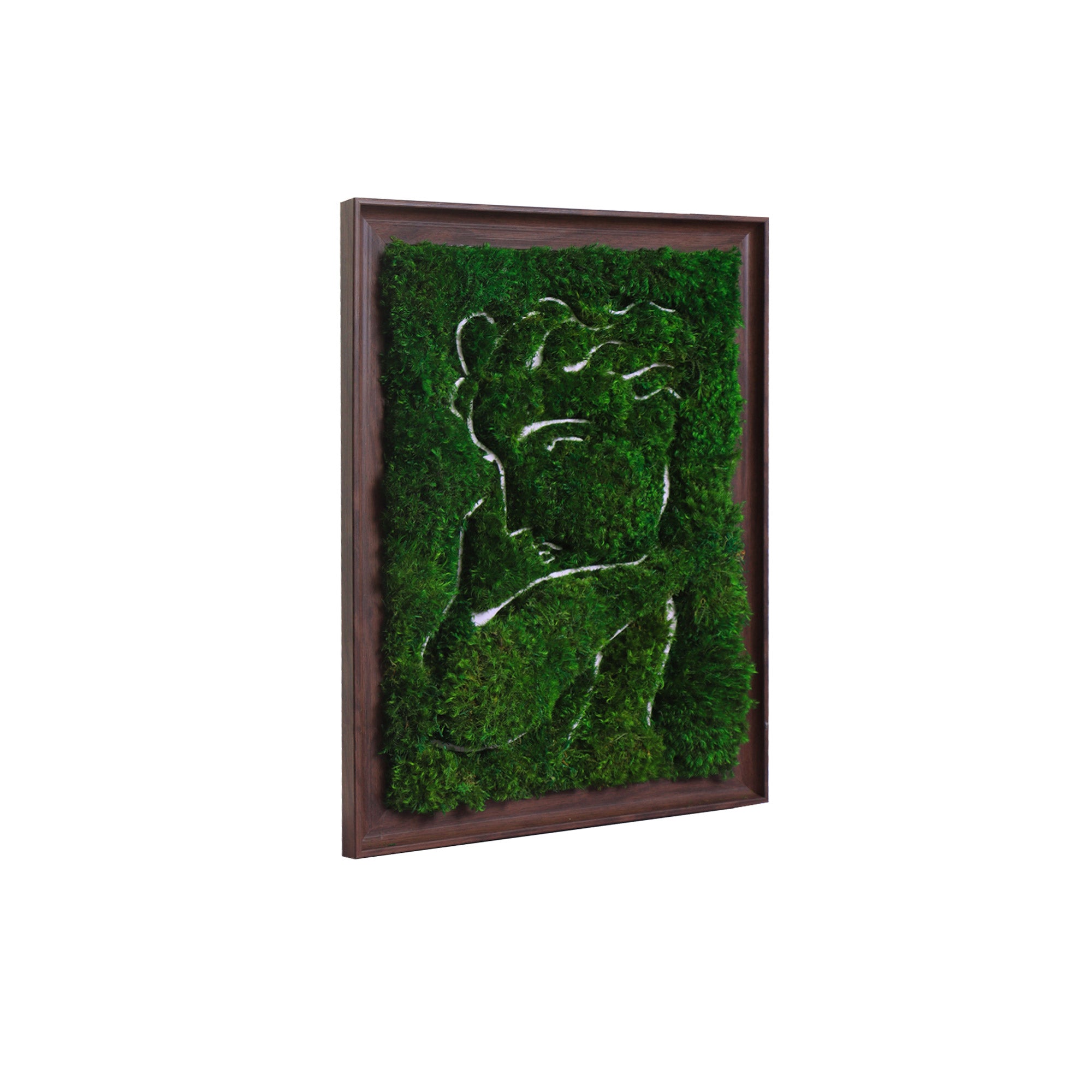  Side profile of dark walnut wood frame with preserved mood moss