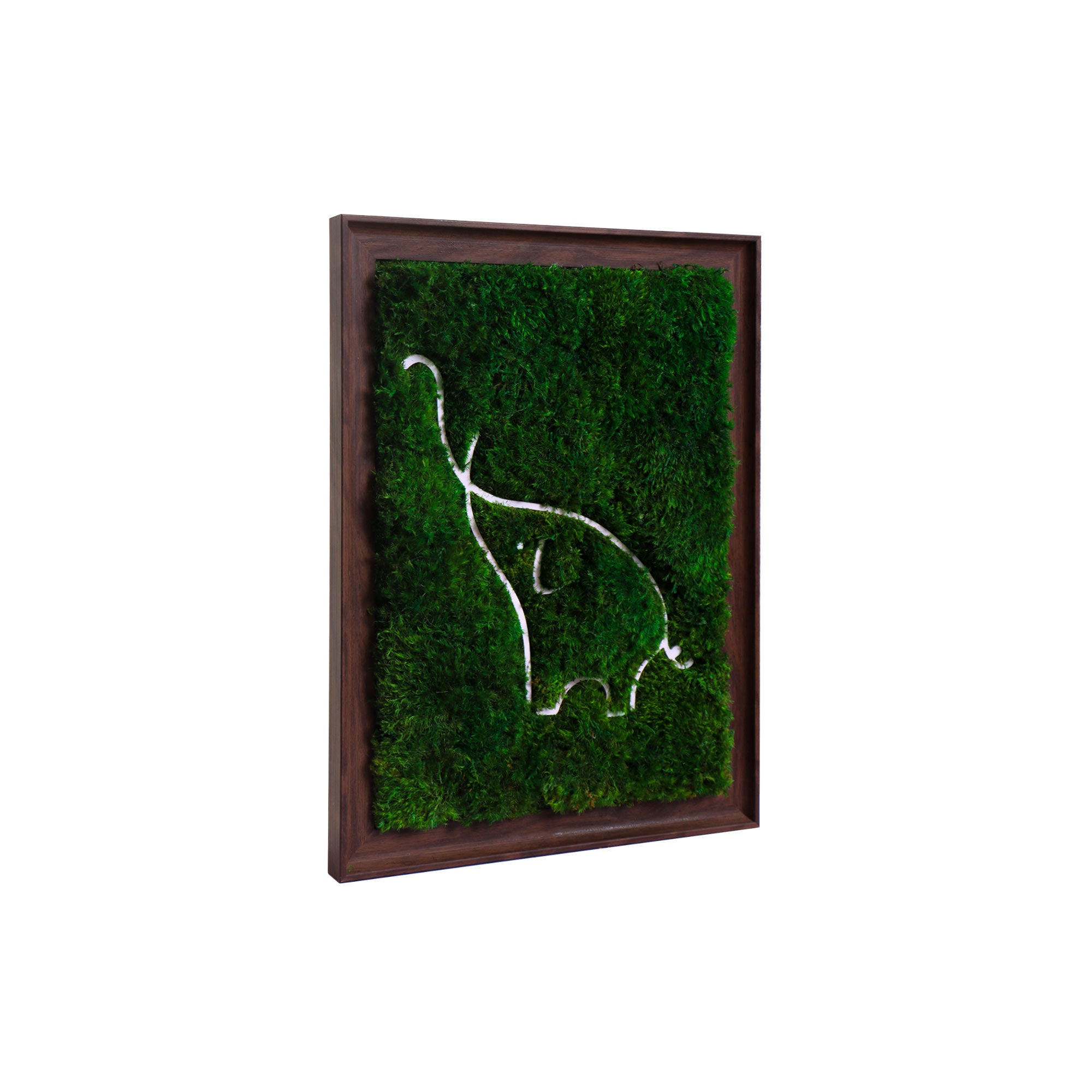 Side profile of dark walnut wood frame with preserved mood moss
