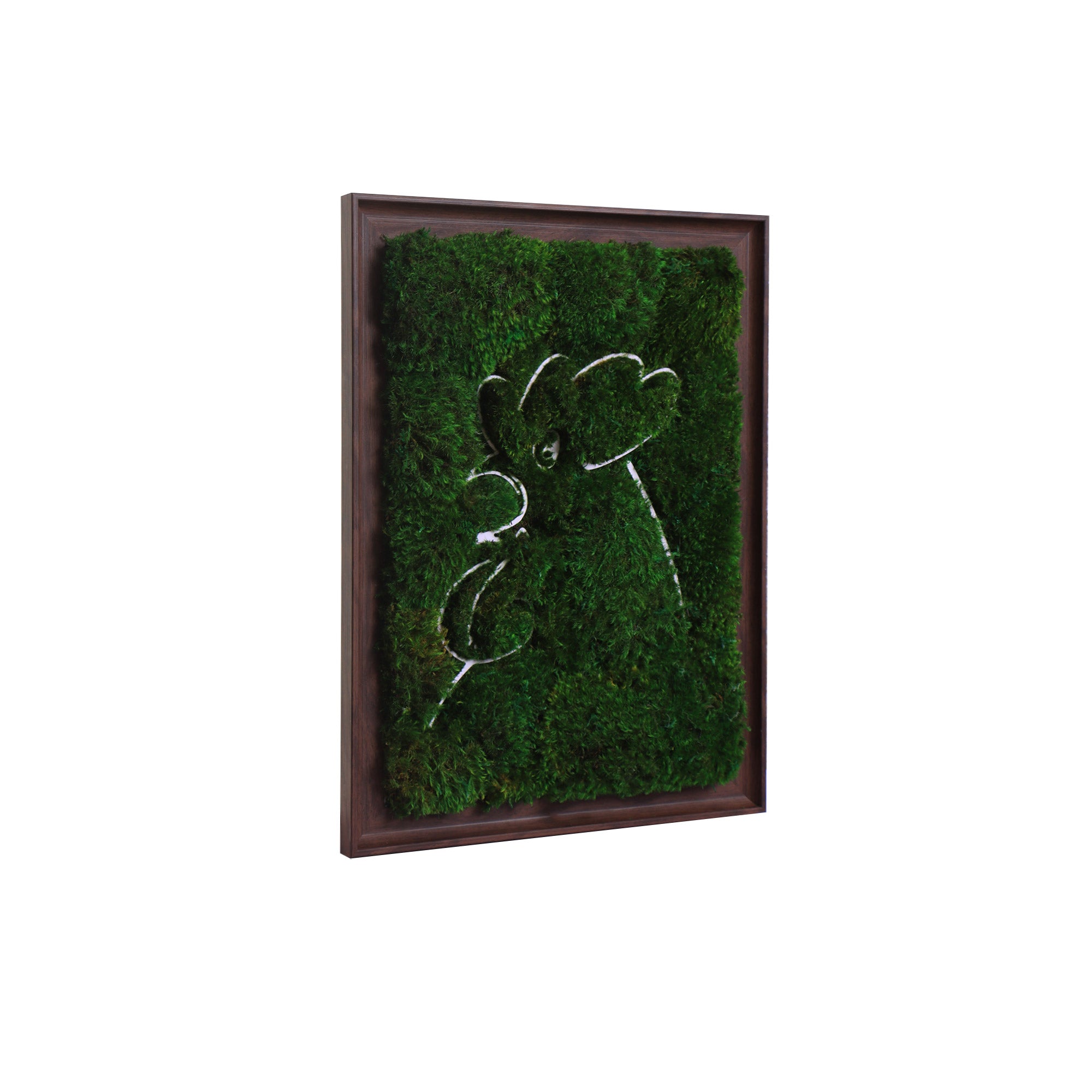 Side profile of the dark walnut wood frame with preserved mood moss
