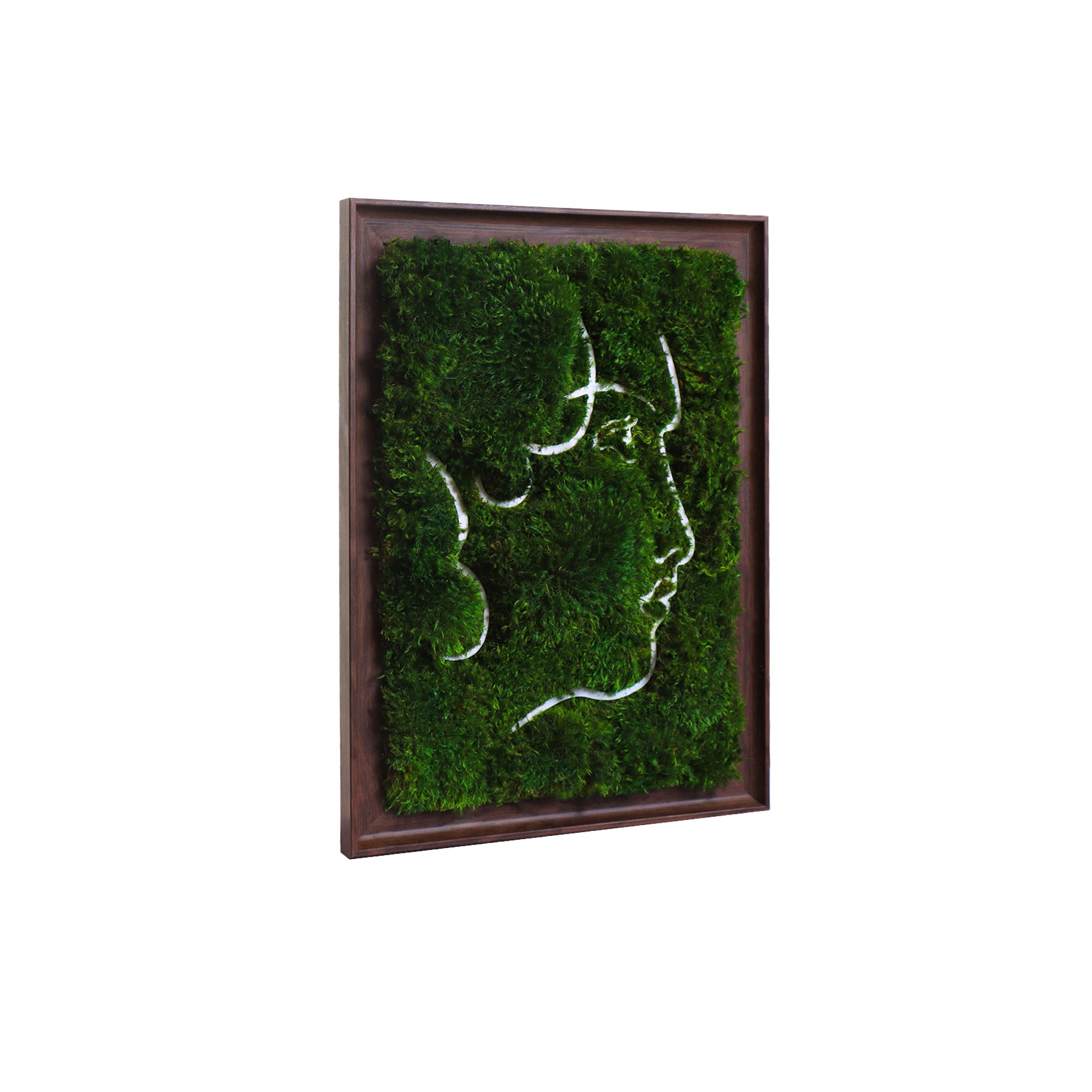 Side profile of dark walnut wood frame with preserved mood moss