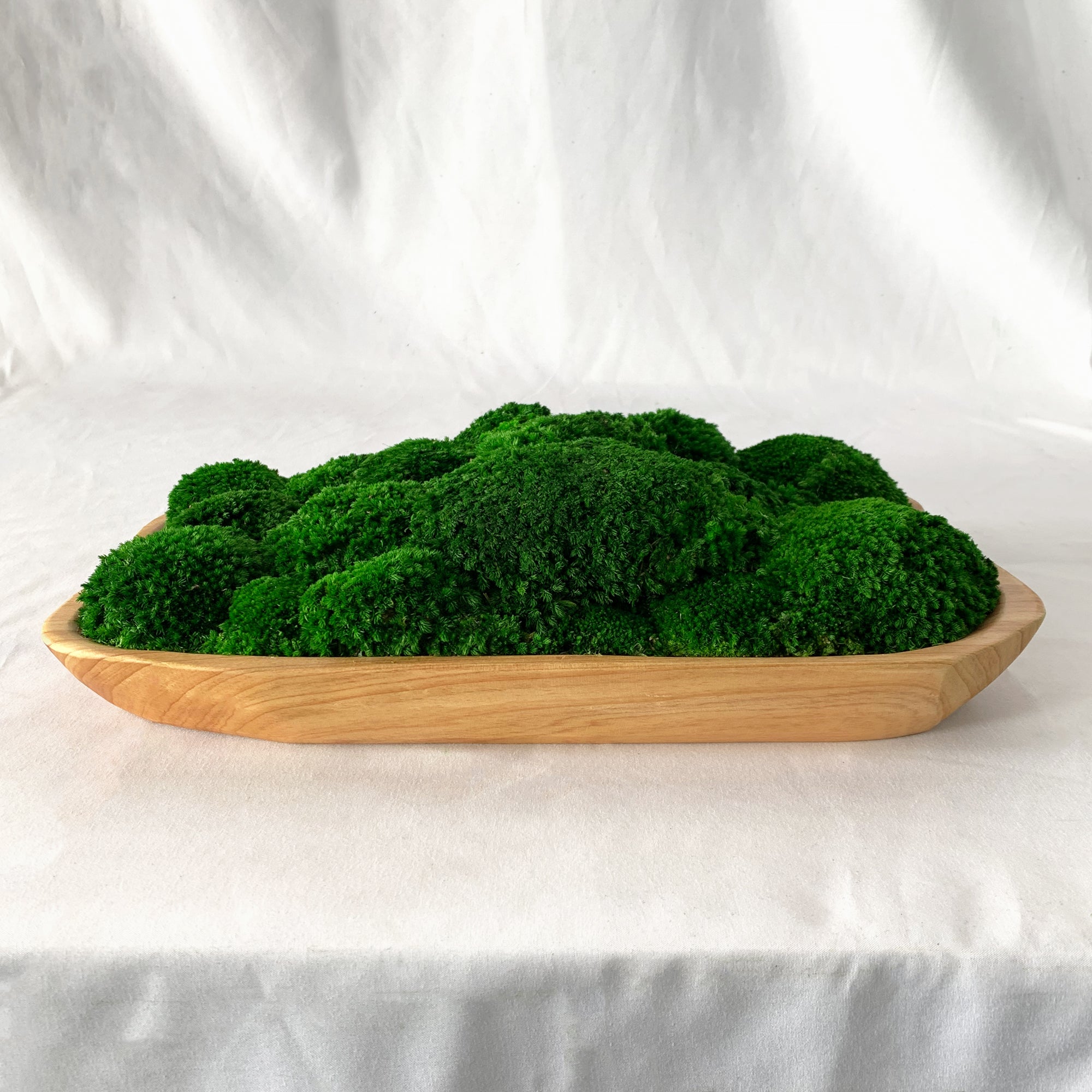 Front profile of a vibrant live edge bun moss bowl. 