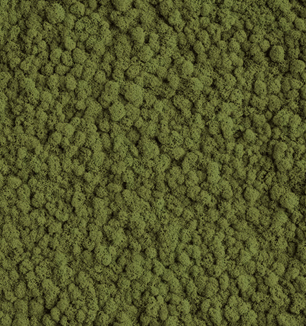 Mountain Green  Reindeer Moss Color Sample