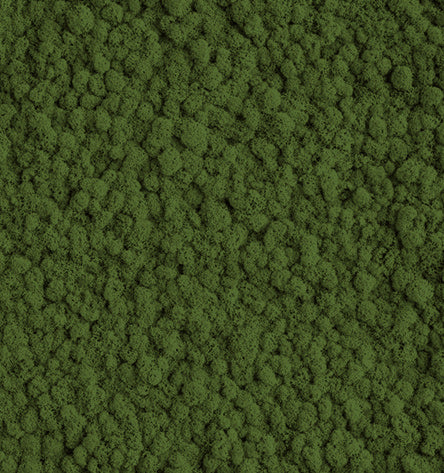 Olive Green  Reindeer Moss Color Sample