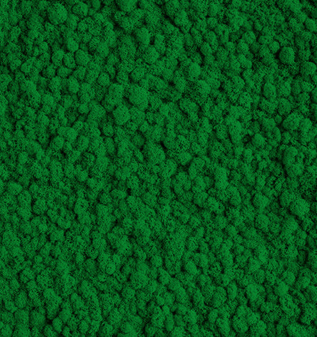 Emerald Green  Reindeer Moss Color Sample