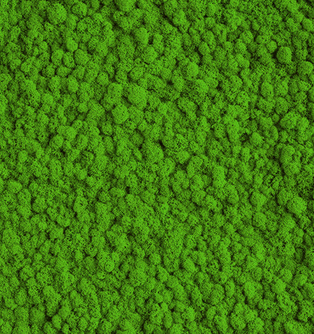 Lime Green  Reindeer Moss Color Sample