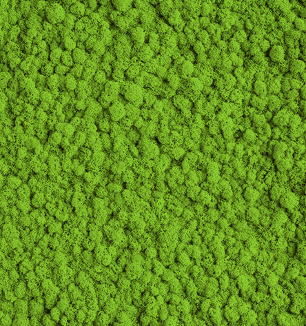Meadow Green  Reindeer Moss Color Sample